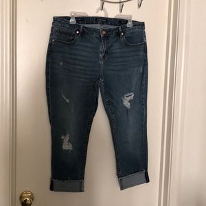 Vigoss The Jagger skinny cropped jeans